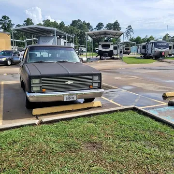 1981 Chevrolet C10