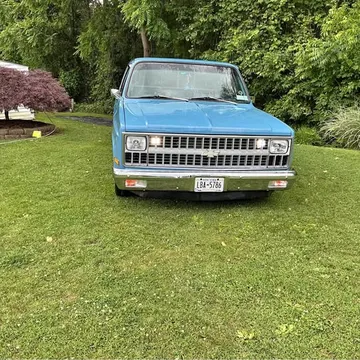 1981 Chevrolet C10