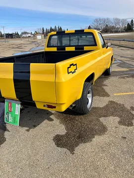 1981 Chevrolet C10