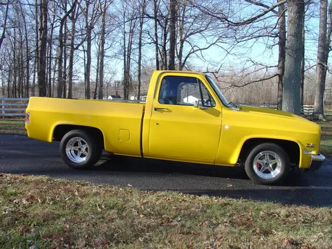 1981 Chevrolet C10