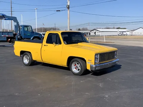1981 Chevrolet C10