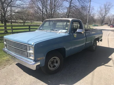 1981 Chevrolet C10 Pickup