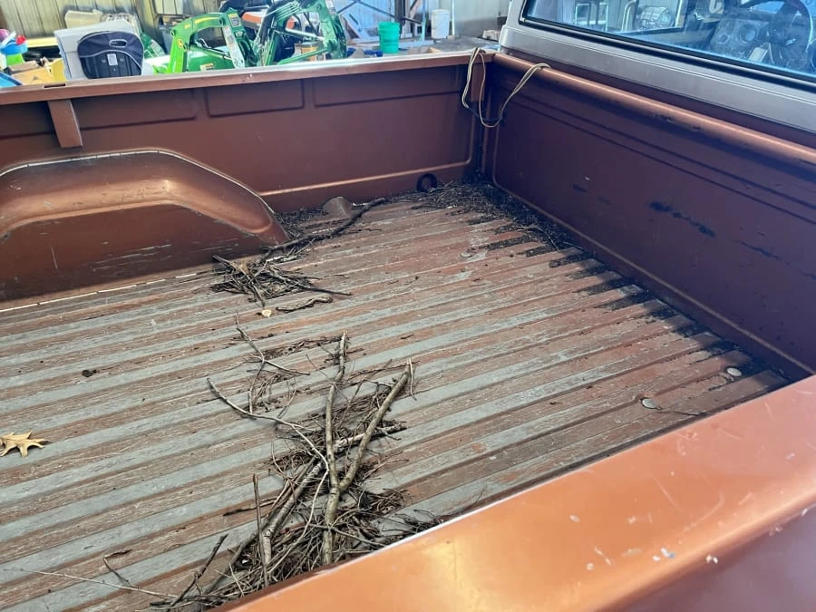 1981 Chevrolet C/K 3rd Gen - Image 14 of 24