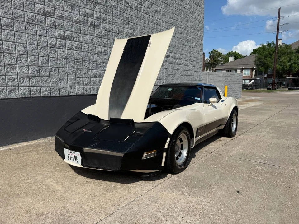 1981 Chevrolet Corvette C3 - Image 13 of 13