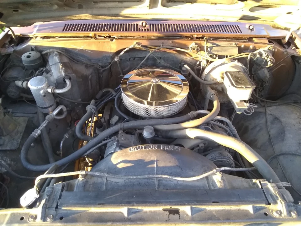 1981 Chevrolet C/K 3rd Gen - Image 19 of 19