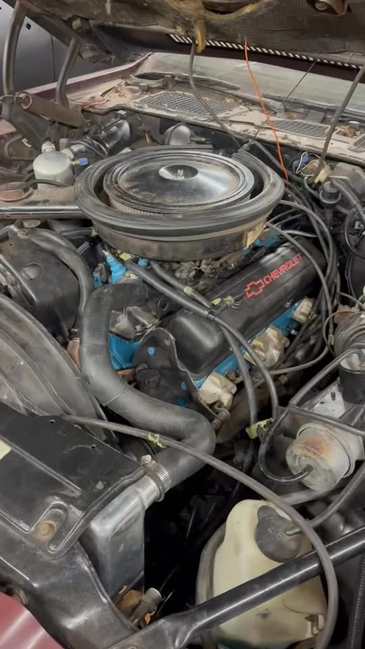1981 Chevrolet Camaro 2nd Gen - Image 11 of 11