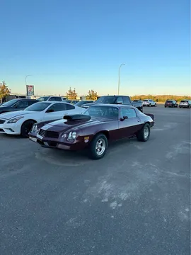 1981 Chevrolet Camaro