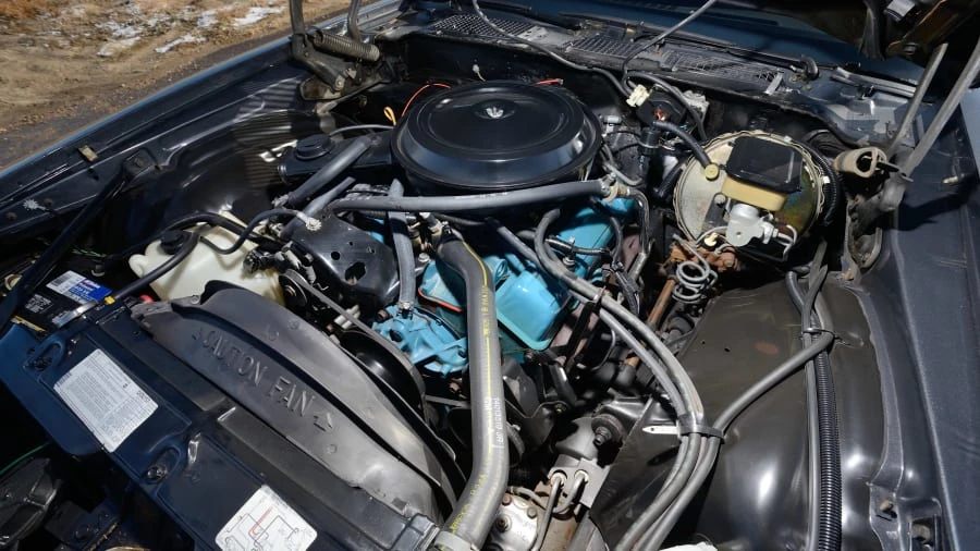 1981 Chevrolet Camaro 2nd Gen - Image 6 of 20