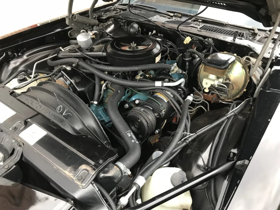1981 Chevrolet Camaro 2nd Gen - Image 6 of 7