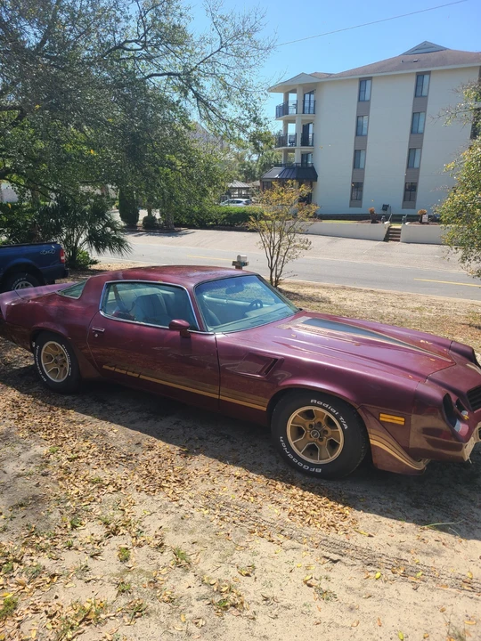 1981 Chevrolet Camaro 2nd Gen - Image 2 of 8