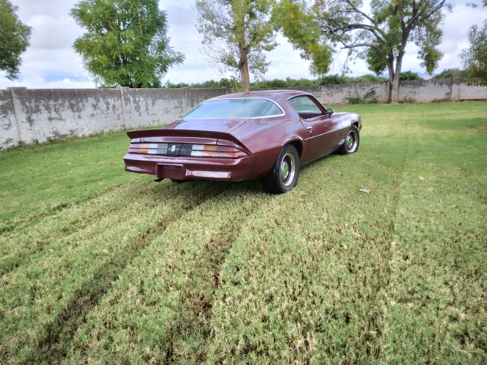 1981 Chevrolet Camaro 2nd Gen - Image 7 of 10