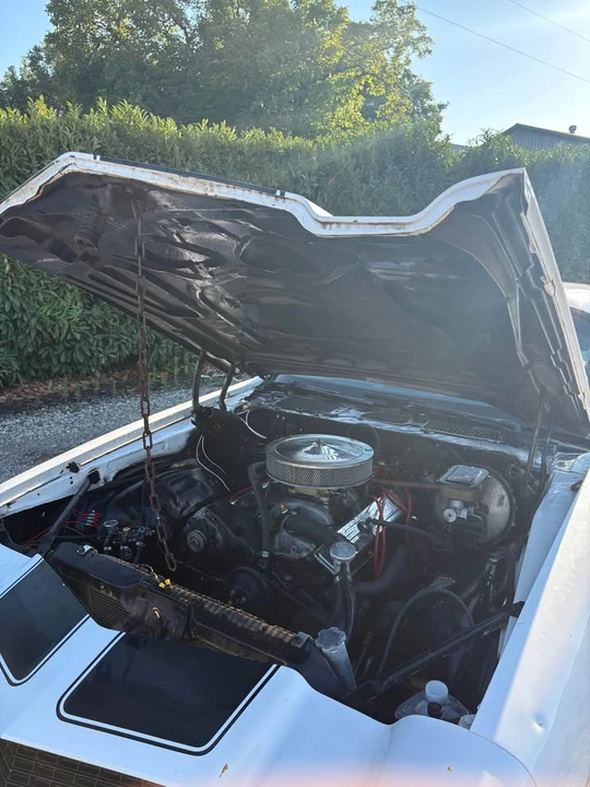1981 Chevrolet Camaro 2nd Gen - Image 8 of 13