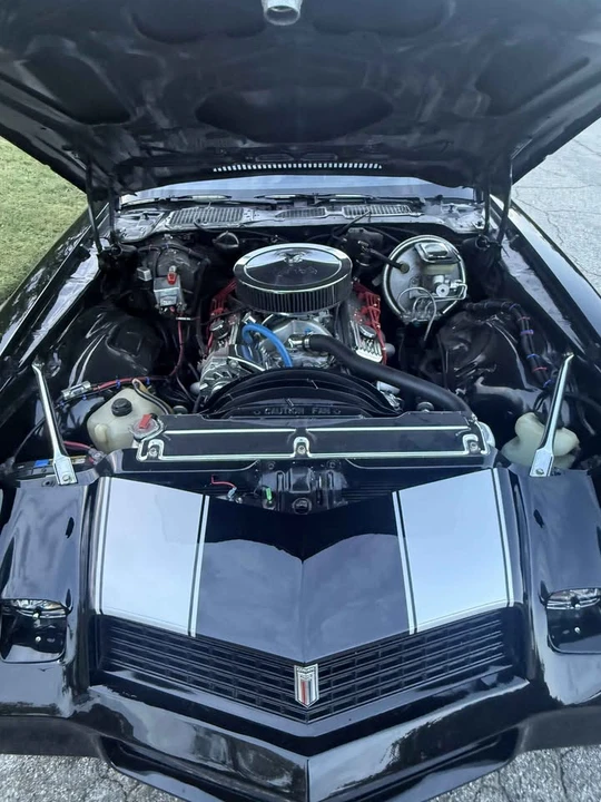 1981 Chevrolet Camaro 2nd Gen - Image 15 of 19