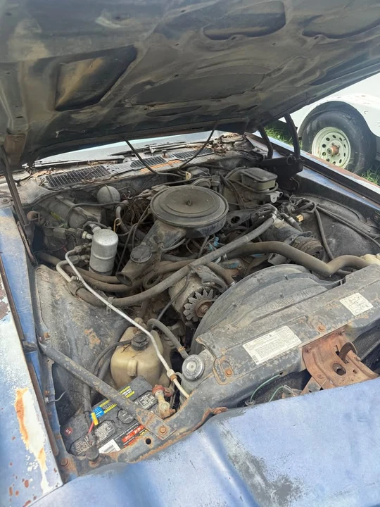 1981 Chevrolet Camaro 2nd Gen - Image 6 of 11