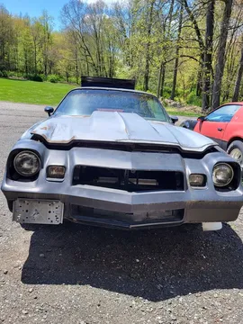 1981 Chevrolet Camaro Coupe 2D