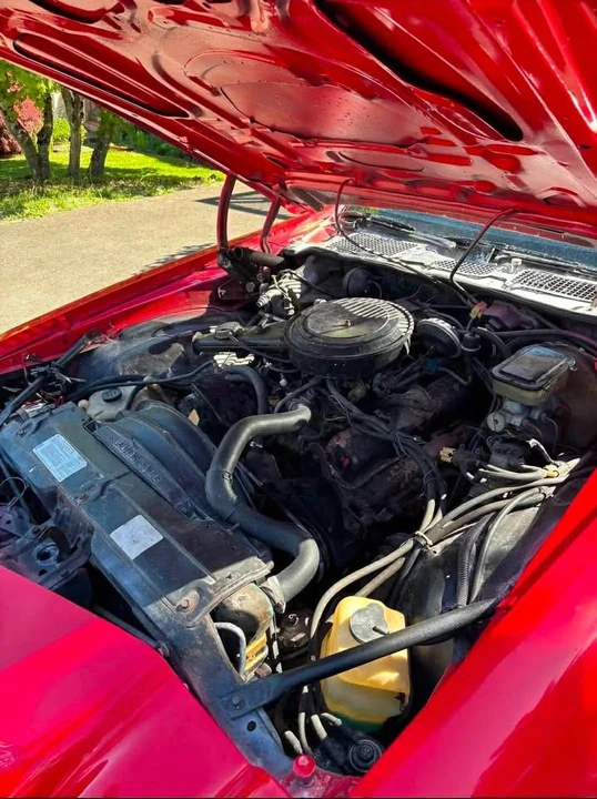 1981 Chevrolet Camaro 2nd Gen - Image 7 of 8
