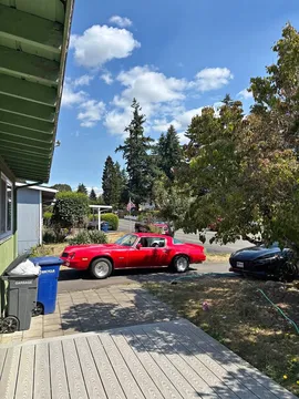 1981 Chevrolet Camaro Sport Coupe