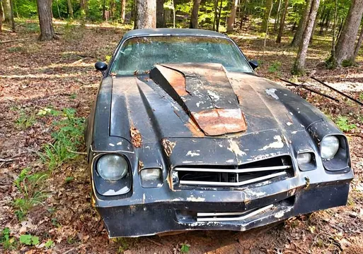 1981 Chevrolet Camaro Coupe 2D