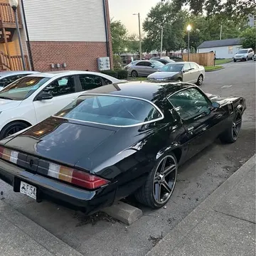 1981 Chevrolet Camaro LS Coupe 2D