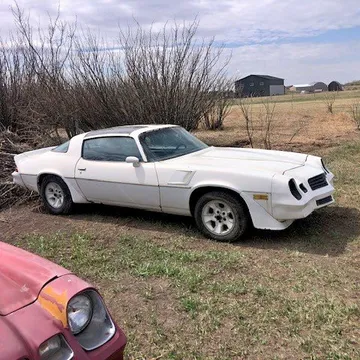 1981 Chevrolet Camaro Z28