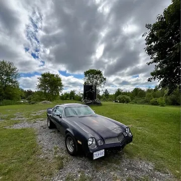 1981 Chevrolet Camaro Berlinetta