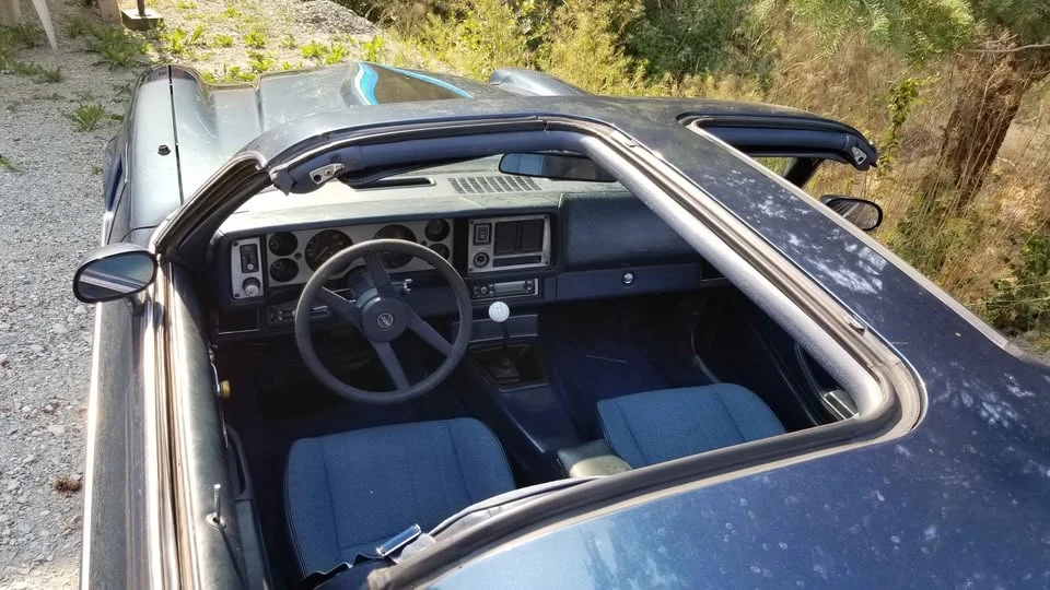 1981 Chevrolet Camaro 2nd Gen - Image 8 of 12