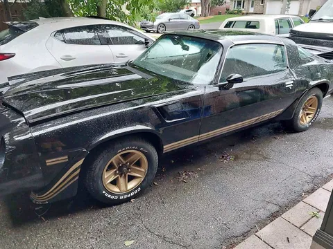 1981 Chevrolet Camaro