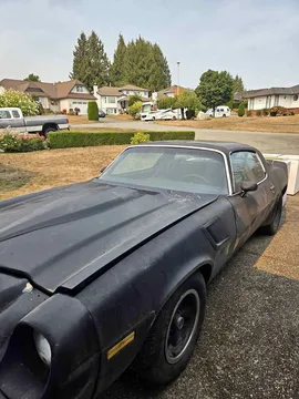 1981 Chevrolet Camaro