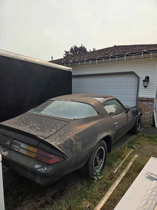 1981 Chevrolet Camaro 2nd Gen - Image 4 of 6