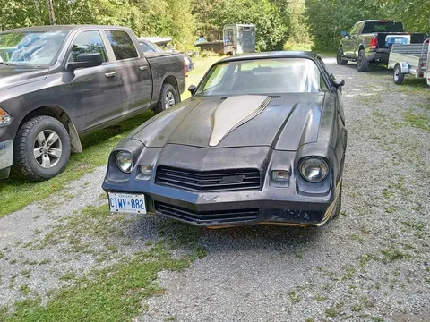 1981 Chevrolet Camaro