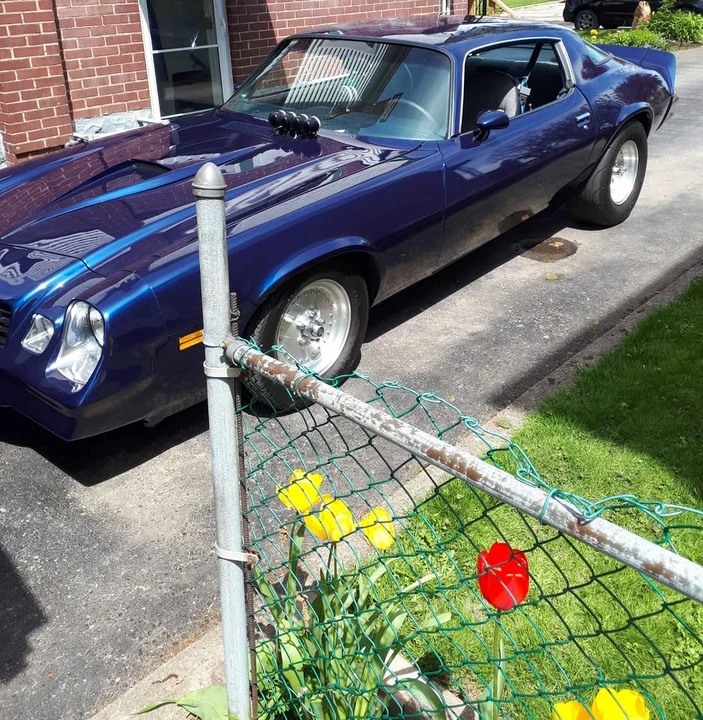 1981 Chevrolet Camaro 2nd Gen - Image 5 of 15