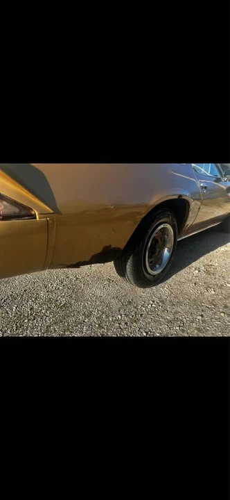 1981 Chevrolet Camaro 2nd Gen - Image 4 of 14