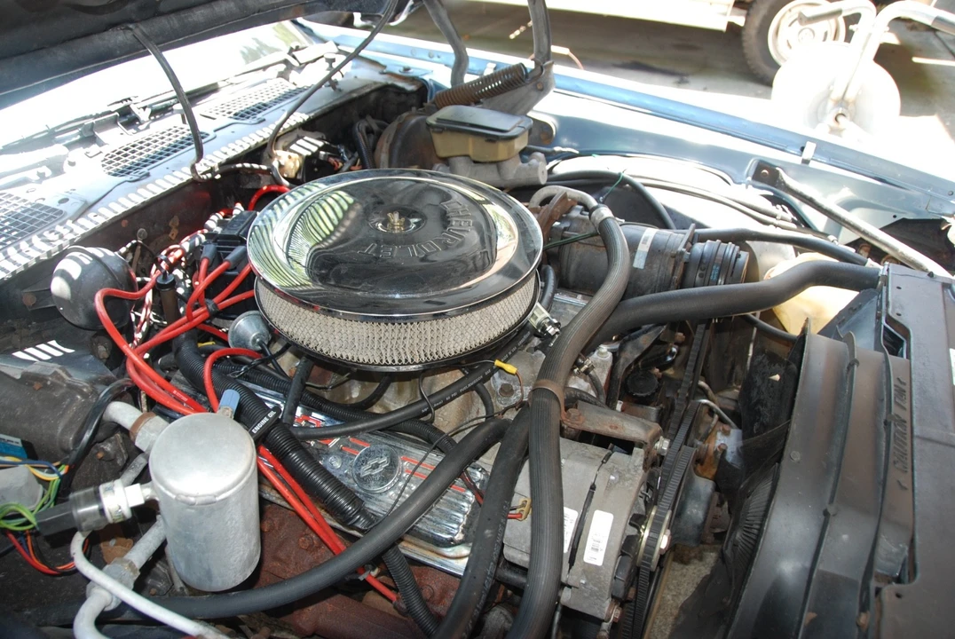 1981 Chevrolet Camaro 2nd Gen - Image 2 of 31
