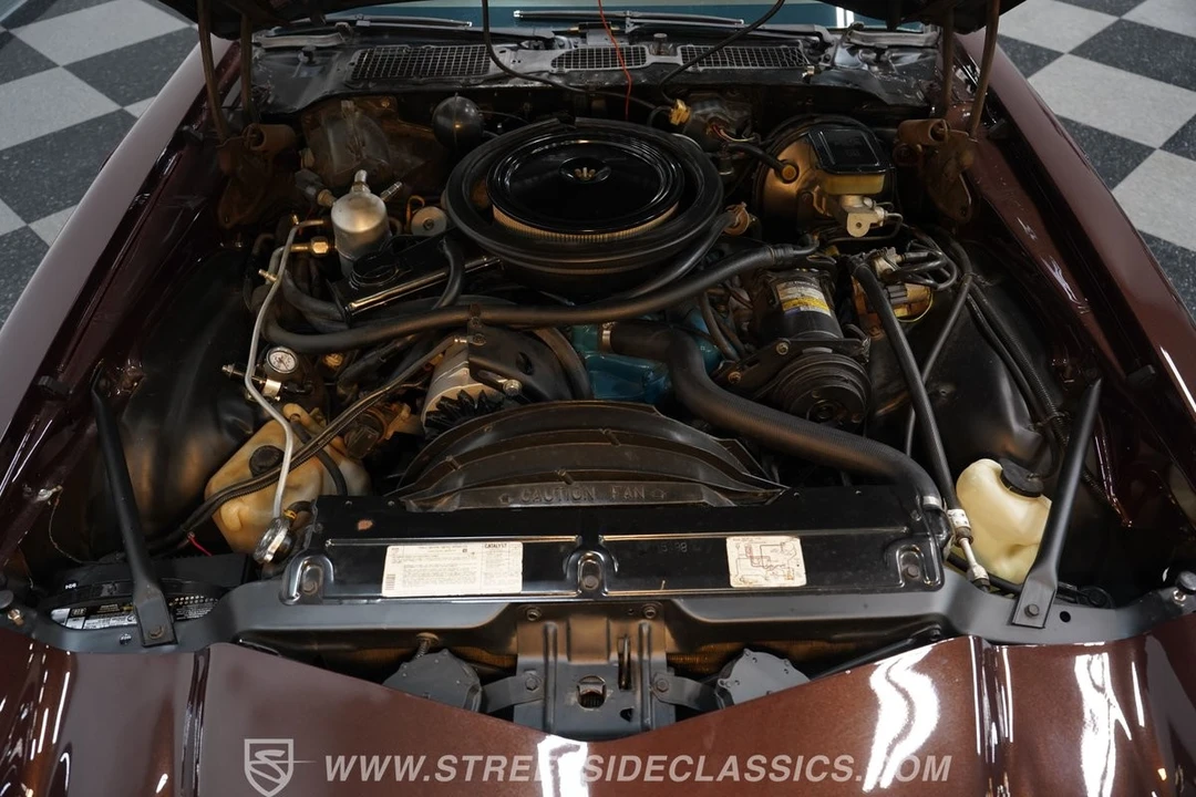 1981 Chevrolet Camaro Z/28 2nd Gen - Image 4 of 31