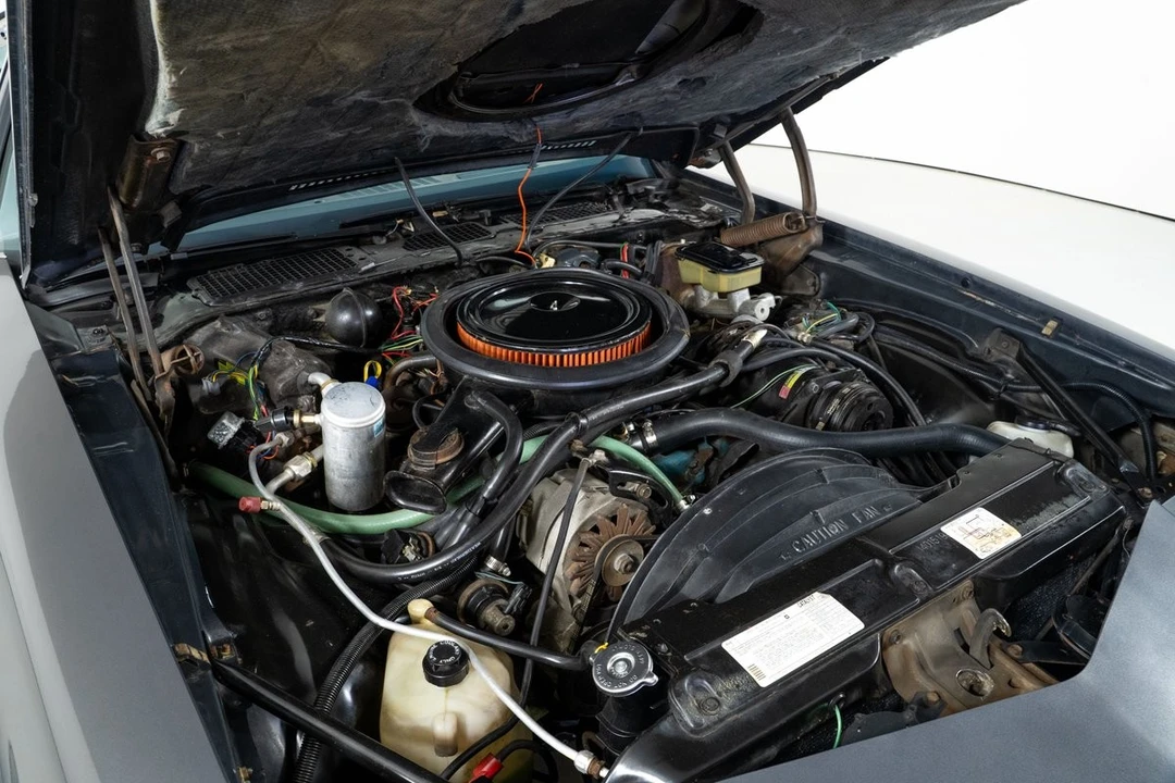 1981 Chevrolet Camaro Z/28 2nd Gen - Image 3 of 31