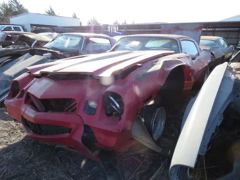 1981 Chevrolet Camaro Z28
