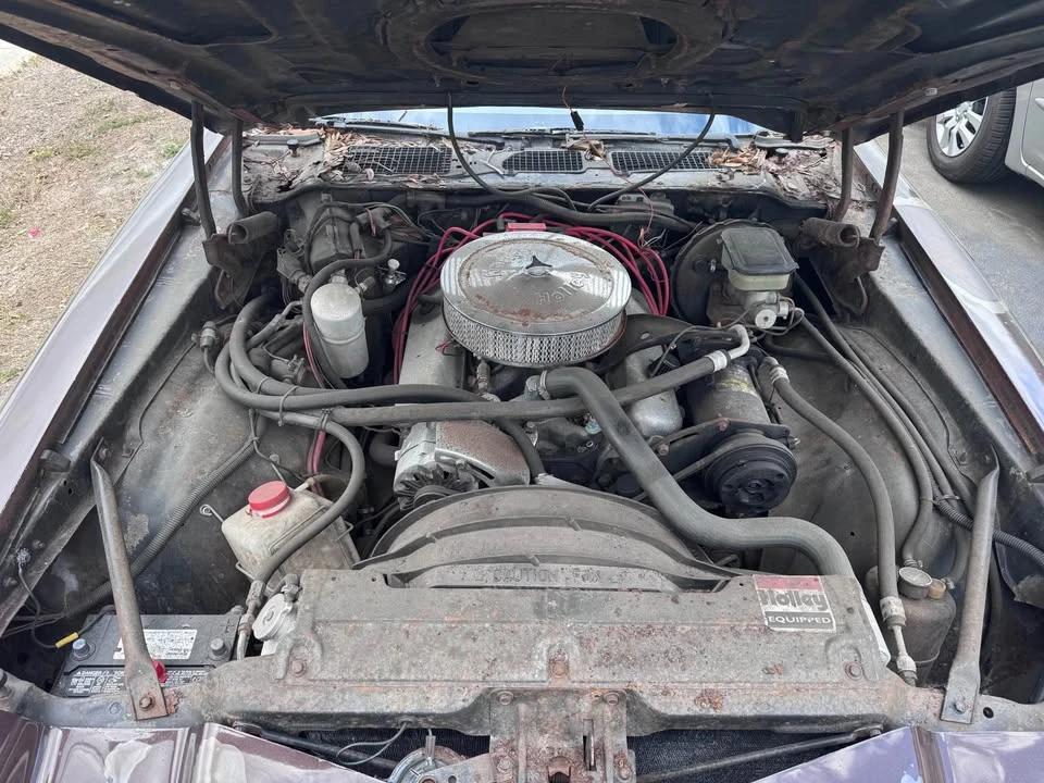 1981 Chevrolet - Image 4 of 13