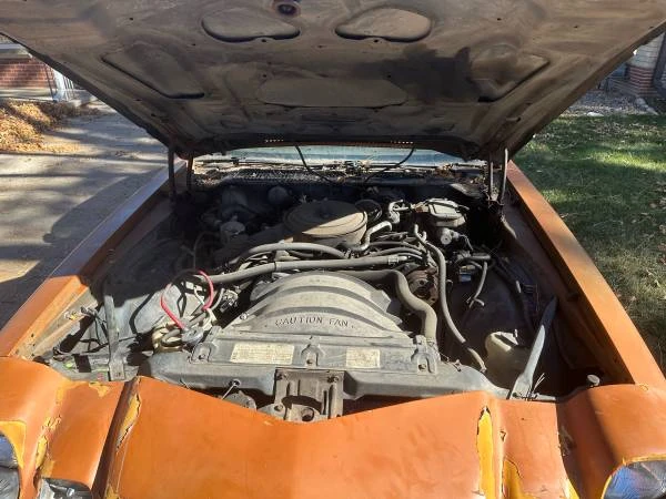 1981 Chevrolet Camaro 2nd Gen - Image 8 of 13