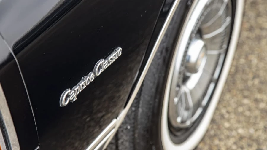 1981 Chevrolet Caprice - Image 8 of 22