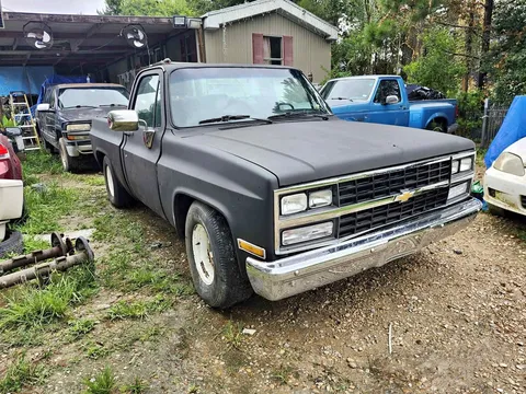 1981 Chevrolet Classic C10
