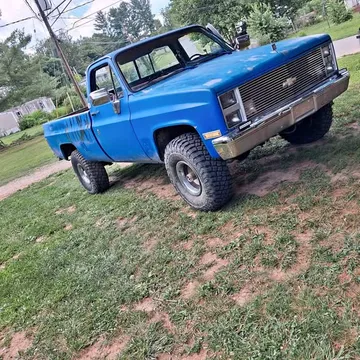 1981 Chevrolet Classic Truck