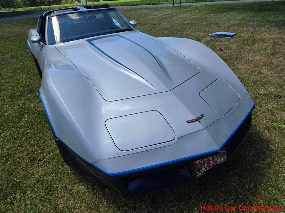 1981 Chevrolet Corvette C3 - Image 19 of 31