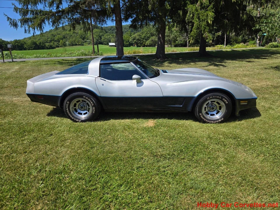 1981 Chevrolet Corvette C3 - Image 6 of 31