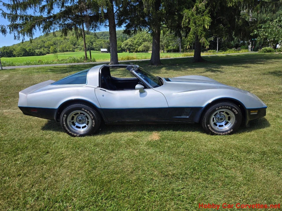 1981 Chevrolet Corvette C3 - Image 14 of 31