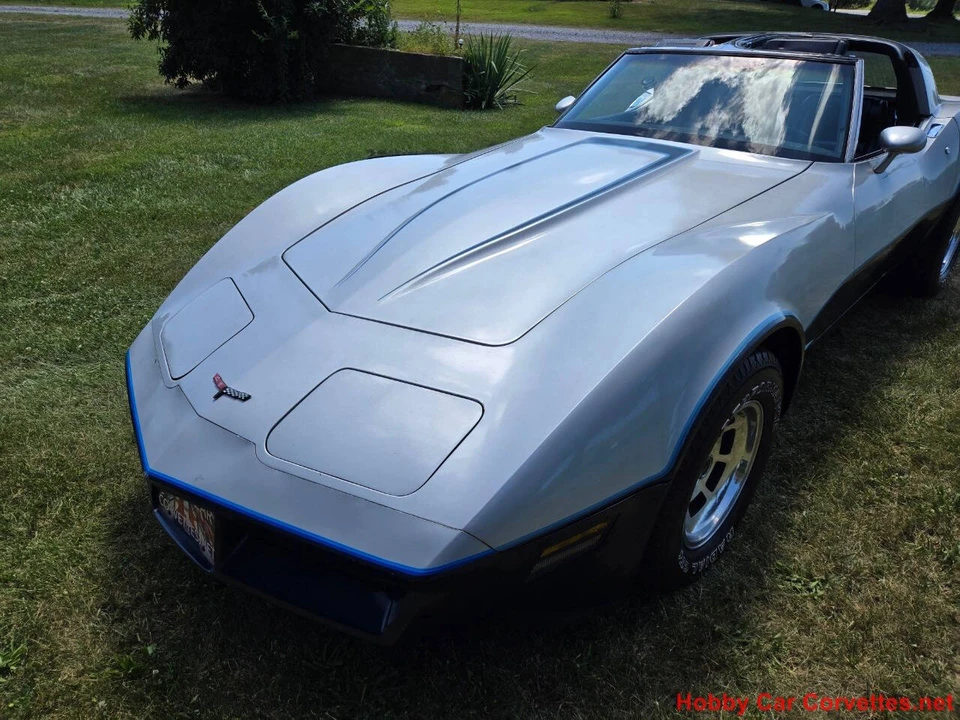 1981 Chevrolet Corvette C3 - Image 20 of 31