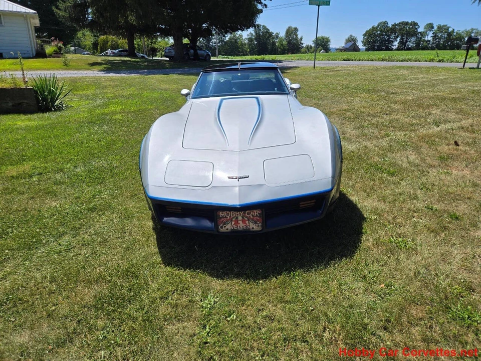 1981 Chevrolet Corvette C3 - Image 5 of 31