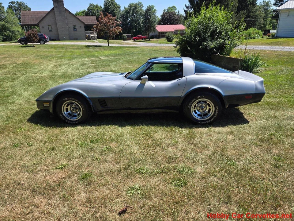 1981 Chevrolet Corvette C3 - Image 4 of 31