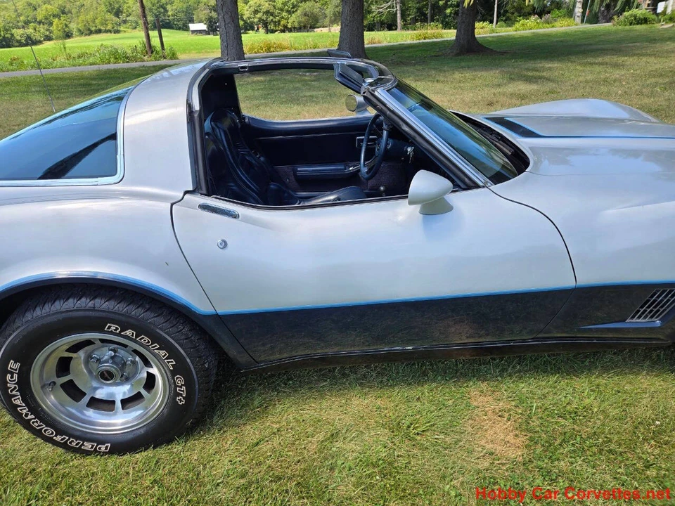 1981 Chevrolet Corvette C3 - Image 16 of 31