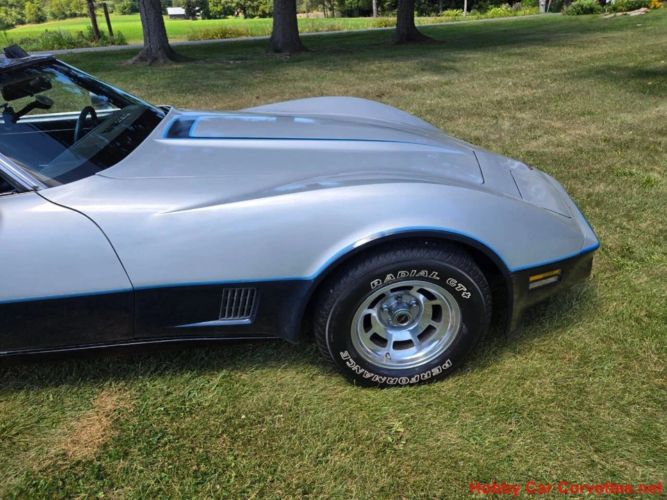 1981 Chevrolet Corvette C3 - Image 17 of 31