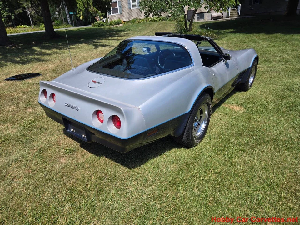 1981 Chevrolet Corvette C3 - Image 13 of 31